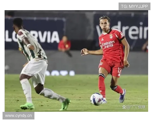 葡超最新冠军归属本菲卡，本赛季表现稳健夺冠