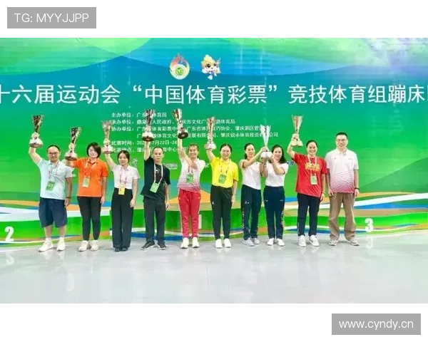 维尼修斯的个人荣誉与团队成就：生涯表现如何相互映照？